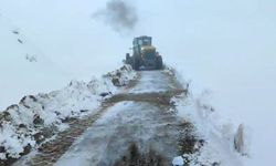 Siirt'te kar nedeniyle araçlar mahsur kaldı