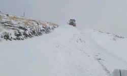 Şırnak'ta kardan kapanan köy yolları ulaşıma açıldı