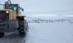 Sivas'ta 46 yerleşim yerinin yolu kapandı