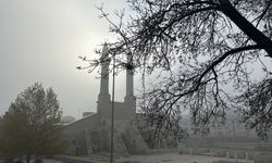 Sivas'ta yoğun sis etkisi