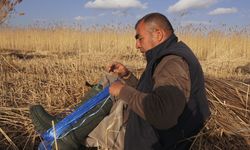 Sultan Sazlığı'ndan Avrupa'ya Büyük İhracatı