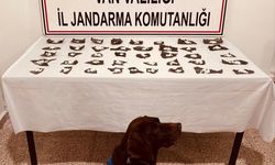 Van'da Kapsül İçinden Bonzai Çıktı