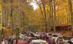Yedigöller Milli Parkı, ziyaretçi akınına uğradı