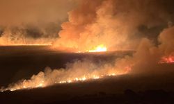 Yüksekova'daki Nehil Sazlığı Yandı