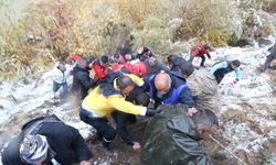 Zap Suyu'na yuvarlanan kamyonetteki 4 kişiyi ekipler kurtardı