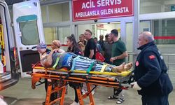 Zeytin Bahçesindeki Tepeden Düştü