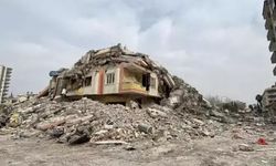 Japon deprem uzmanından Türkiye değerlendirmesi