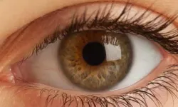 Rahatsız Edici Gözaltı Torbaları için Evde Yapabileceğiniz Doğal Yöntemler