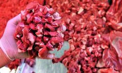 Yıl Sonuna Kadar Fiyat Garantisinin Arkasındaki Karar Ne?