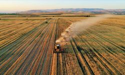 Kırsalda kalkınma desteklerinde yeni dönem