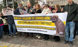 Yaşam hakkı savunucularından ABB’ye sert tepki