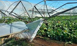Antalya'da seralar hasar gördü