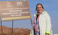 Çorakyerler’de 200 fosil bulundu