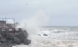 Düzce'de rüzgar, dalga boyunu yükseltti