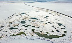Göç Kuşlarının Durağı Çalı Gölü dondu