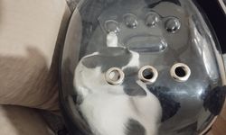 Havalandırma boşluğuna düşen kedi kurtarıldı