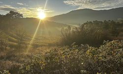 Isparta'nın gül bahçelerine sonbahar renkleri hakim oldu