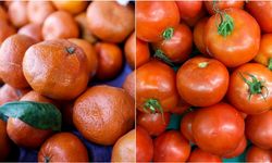 İstanbul'da kasımda en çok tüketilen ürünleri açıklandı