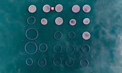 Karacaören Barajı'ndan bölge ekonomisine katkı