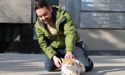 Kediler insanlarla cinsiyete göre iletişim kuruyor