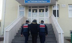 Kırıkkale'de firari FETÖ hükümlüsünü jandarma yakaladı