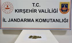 Kırşehir'de uyuşturucu operasyonu: 1 yakalama