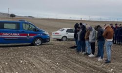 Nevşehir'de köpek dövüştüren kişiler hakkında işlem başlatıldı