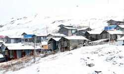 Sarıkamış Kara Teslim