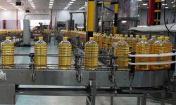 Türkiye'nin ayçiçek yağı ihracatında artış