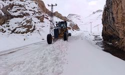 Van'da karla mücadele devam ediyor