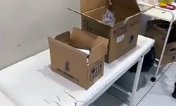 Adana'da ruhsatsız muayenehanelere operasyon