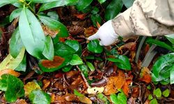 Anne ve oğlunun ölüm nedeni belirlendi