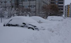 Bitlis'te 290 köy yolu kapandı