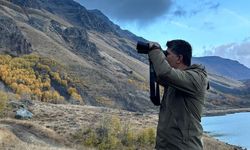 Bitlis'te gökyüzünde oluşan karga yoğunluğu dikkat çekti