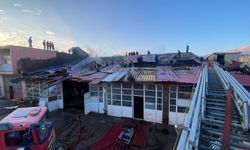 Bitlis'te korkutan yangın