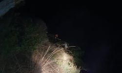 Bursa'da ormanda mahsur kaldı