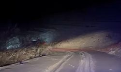 Buzlanmadan dolayı yoldan çıkan ambulansı kamyonet sürücüsü kurtardı