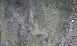 Çin'de 20o milyon yıllık dinozor ayak izleri