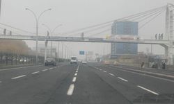 Diyarbakır'da sis nedeniyle ulaşım aksadı