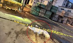 Elazığ'da çöp kamyonunun altında kaldı