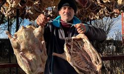 Gurbetteki hemşehrileri için 900 kaz kesti