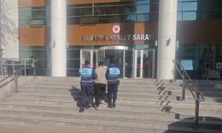 Hırsız komşu, izlenen 288 saatlik kamera kaydı sonucunda yakalandı