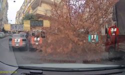 Kamyonet ağaca çarptı