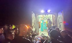 Kastamonu'da otomobil denize uçtu