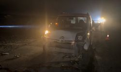 Malatya'da korkutan kaza: 12 koyun öldü