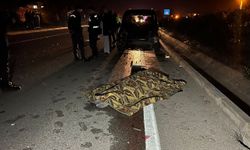 Muğla'da can alan kaza!