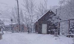 Ordu'nun yüksekleri beyaz gelinliği giydi