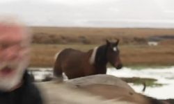 Sanatçı Onur Akın'a At Çarptı