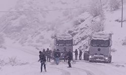 Siirt'te köy yolları kardan ulaşıma kapandı