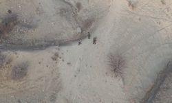 Tunceli'de yaban keçisi avlayanlara operasyon yapıldı